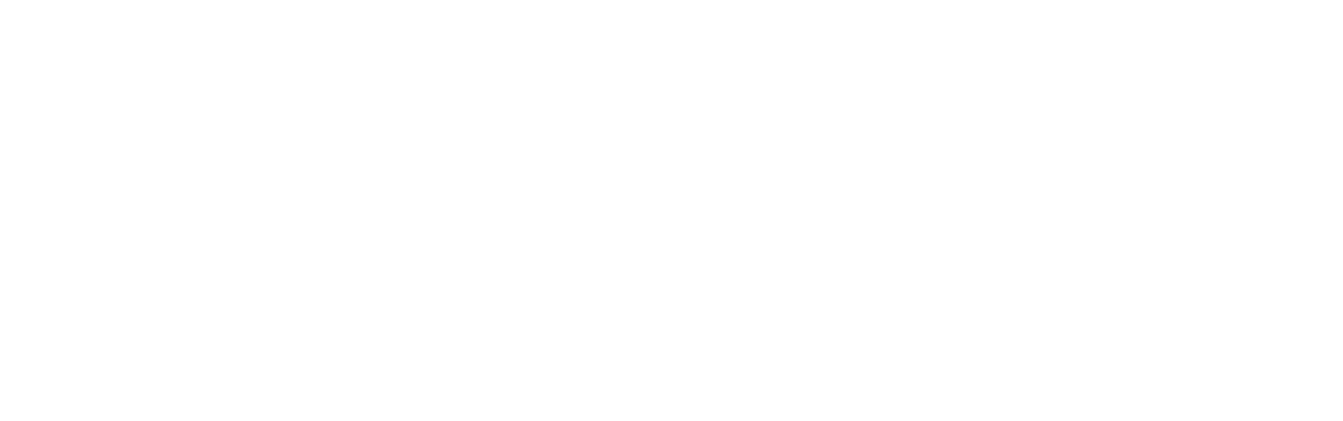 Garage Wolf – Votre réparateur toutes marques à Mathay